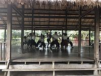 The sacred dancers of cambodia